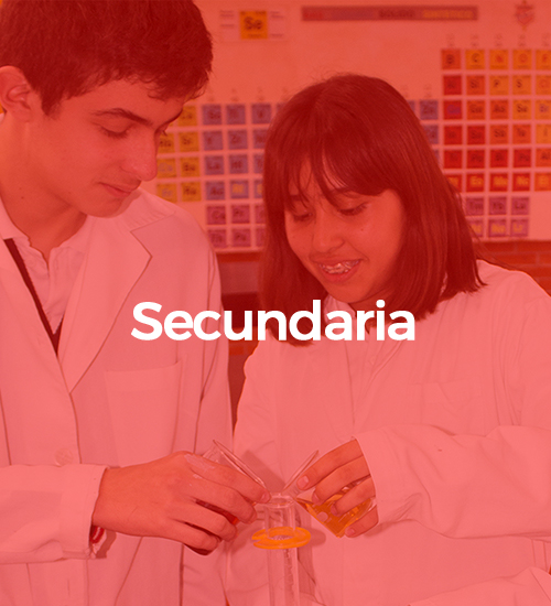 Secundaria1
