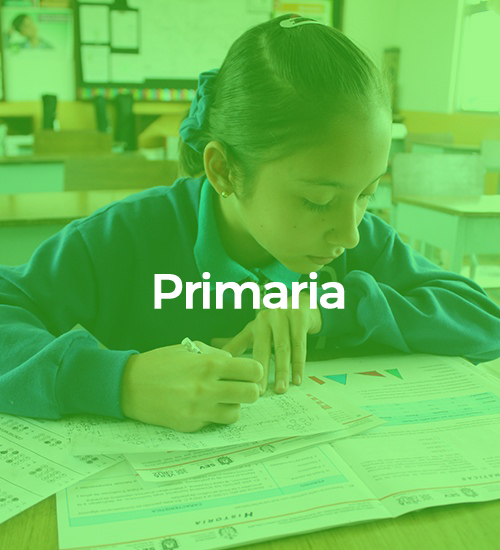 Primaria_OK2